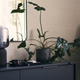 Image for article titled Ikea and Sonos Are Back With a Less Ugly Lamp Speaker